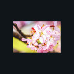 Impressão Em Tela Um Monte Maravilhoso De Flores De Sakura Rosa Em P<br><div class="desc">Um bando maravilhoso de flores rosa de sakura em um galho de árvore. O pano de fundo multicolorido liso da cereja floresce e da grama de jardim fresco. Uma pintura digital muito grande a partir de uma fotografia. Impressão floral esticada de tela para decorar seu lugar ou para ser usada...</div>