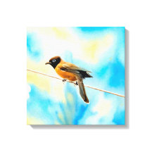 Um pássaro solitário colorido