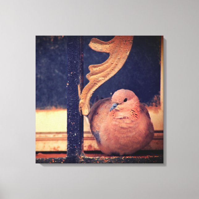 Impressão Em Tela Um Pouco De Fluff (Frente)