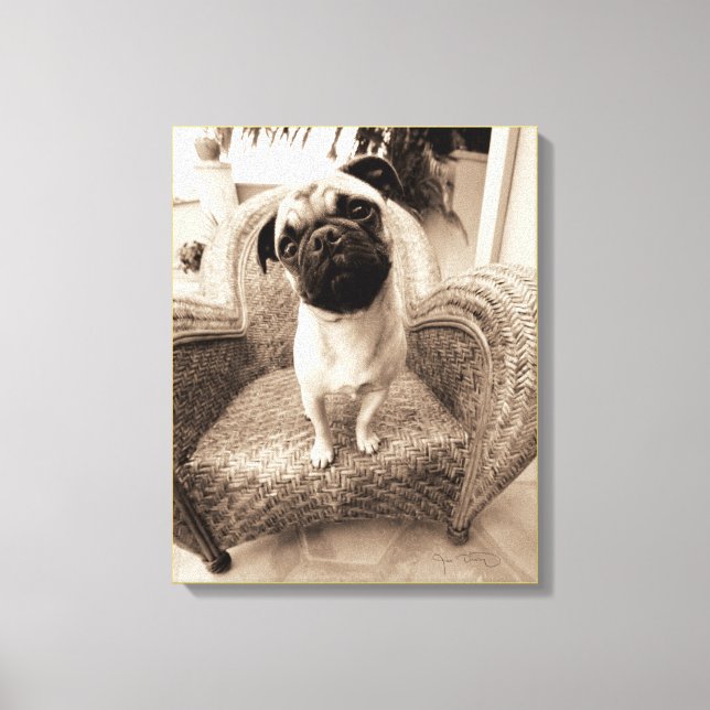 Impressão Em Tela Um Pug com a Cabeça Titular ao Lado (Frente)