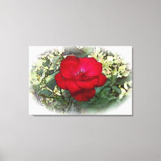 Impressão Em Tela Um rosa solitário (Frente)