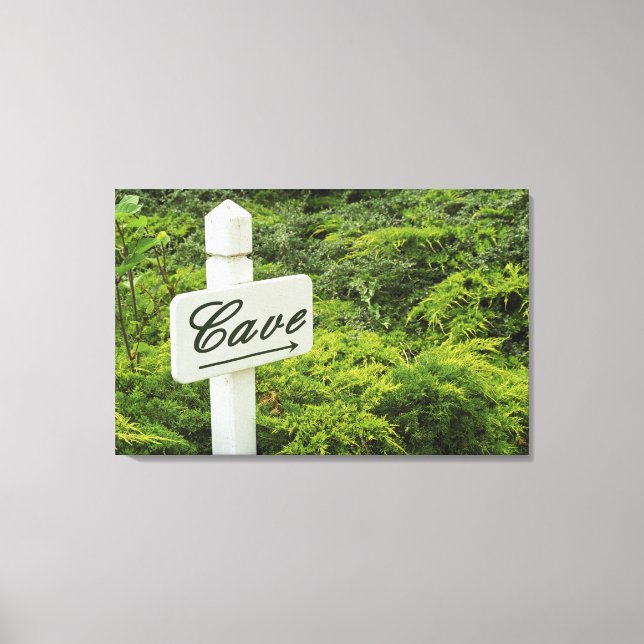 Impressão Em Tela Um sinal apontando para a adega (Cave) em (Frente)