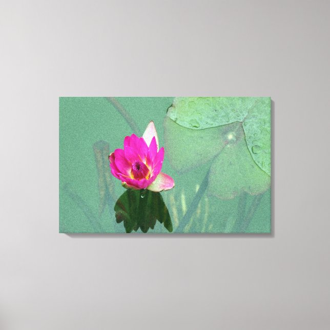 Impressão Em Tela Um solteiro de água rosa numa lagoa (Frente)