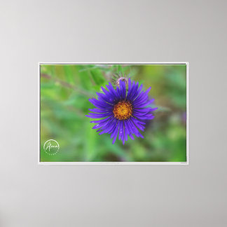 Impressão Em Tela Um toque de roxo na tela da natureza Impressão