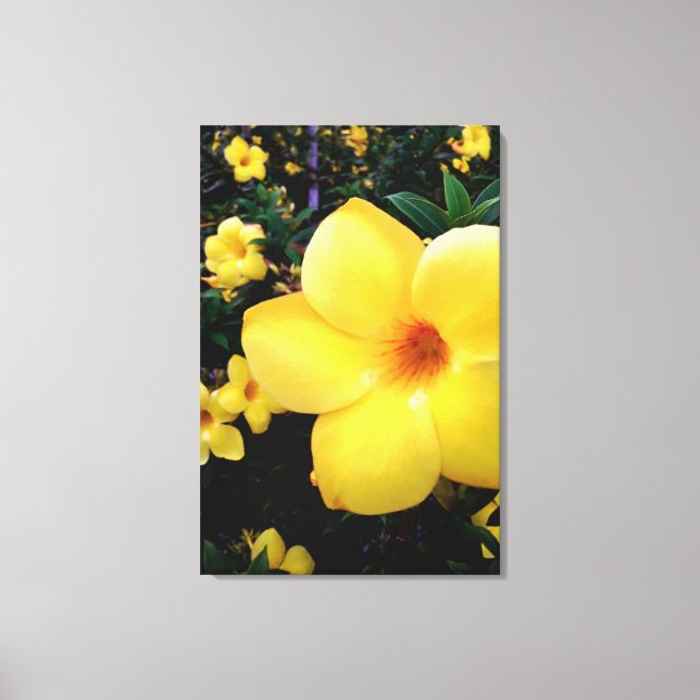 Impressão Em Tela Uma alamanda (Frente)