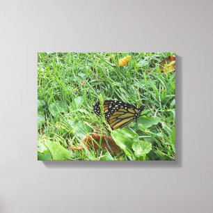 Impressão Em Tela Uma Borboleta Monarca