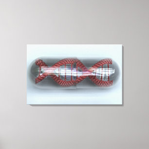 Impressão Em Tela Uma cadeia de DNA numa cápsula