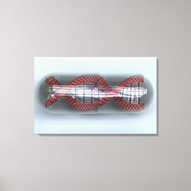 Impressão Em Tela Uma cadeia de DNA numa cápsula (Frente)