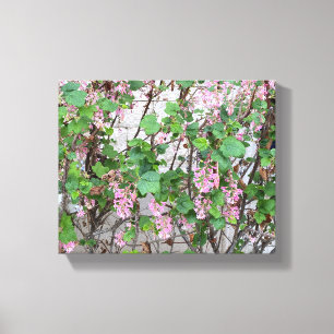 Impressão Em Tela Uma Califórnia florescente: Primavera a rosa