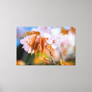 Impressão Em Tela Uma Charmante Flor Sakura Em Um Pau De Primavera