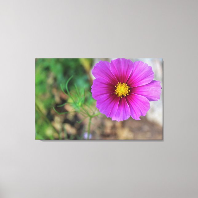 Impressão Em Tela Uma galáxia dentro de uma flor (Frente)