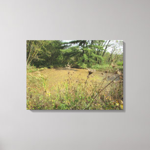 Impressão Em Tela Uma Lagoa no Bosque Fotografia Arte de Parede