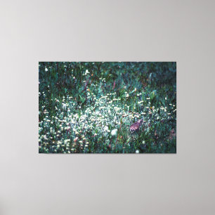 Impressão Em Tela Uma Laranja num Prado