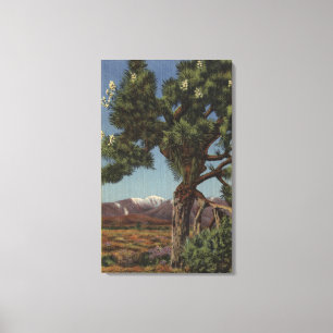 Impressão Em Tela Uma palma de Joshua na flor no deserto