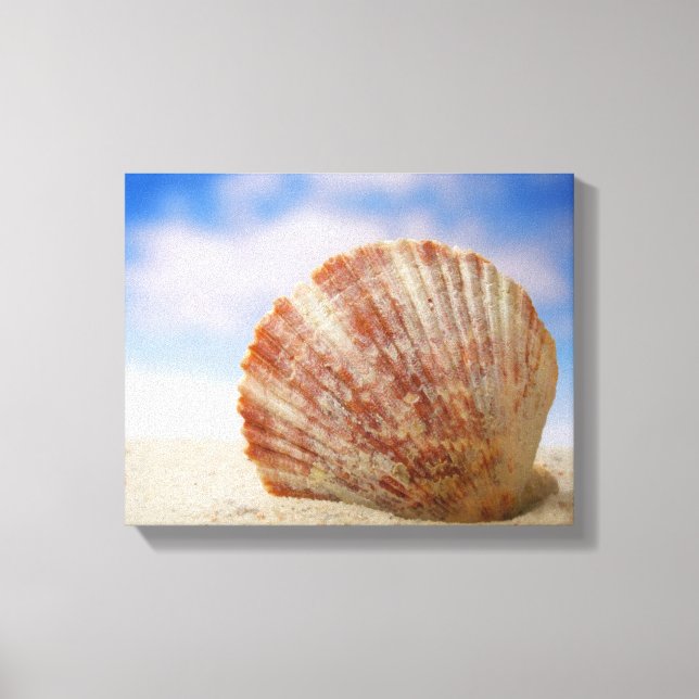 Impressão Em Tela Uma Shell Propicada Na Areia (Frente)
