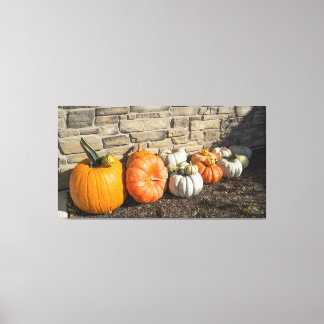 Impressão Em Tela Uma variedade de abóboras