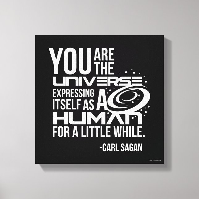 Impressão Em Tela Universo Humano (Frente)