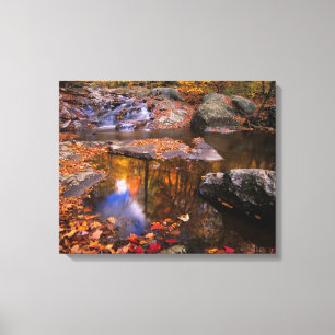 Impressão Em Tela Upper Whiteoak Falls, Parque Nacional de Shenandoa