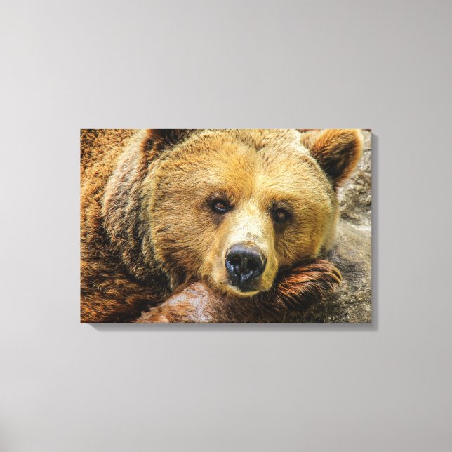 Impressão Em Tela Urso (Frente)
