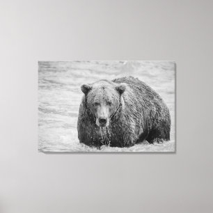 Impressão Em Tela Urso Castanho Costeiro Negro e Branco