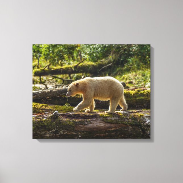 Impressão Em Tela Urso Espírito Branco Caça (Frente)