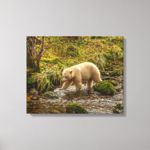 Impressão Em Tela Urso Espírito Branco caça peixes no Riordan Creek