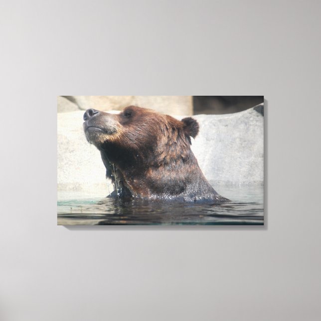 Impressão Em Tela Urso Grizzly Brincando na Água (Frente)