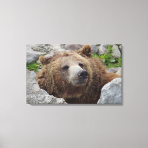 Impressão Em Tela Urso Kodiak