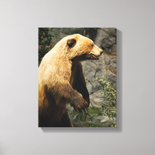 Impressão Em Tela Urso orgulhoso