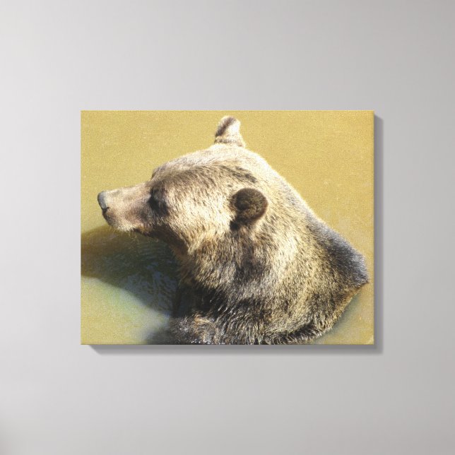Impressão Em Tela Urso Pardo (Frente)