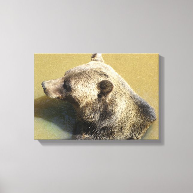 Impressão Em Tela Urso Pardo (Frente)
