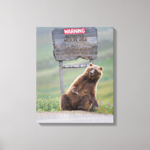 Impressão Em Tela Urso Pardo Brinca Com Placa