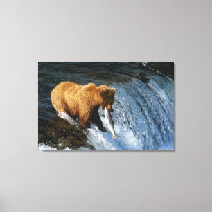 Impressão Em Tela Urso Pardo do Alasca Capturando Salmão em Brooks