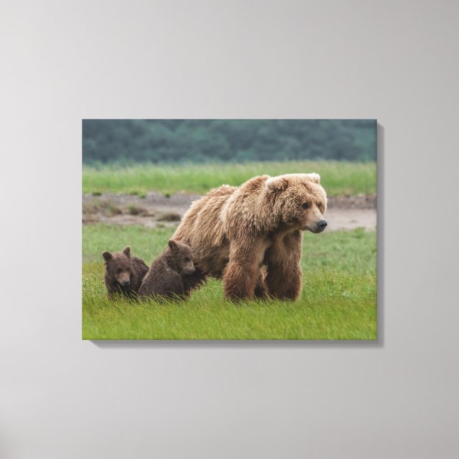 Impressão Em Tela Urso Pardo Mãe com Filhotes Gêmeos (Frente)