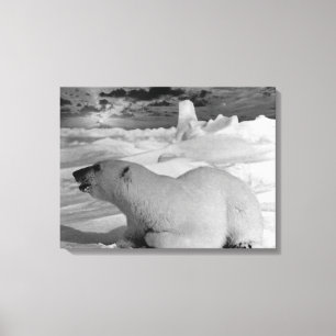Impressão Em Tela Urso polar Vintage EUA Alasca