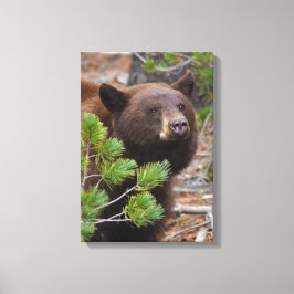 Impressão Em Tela Urso Preto com Cor Loura