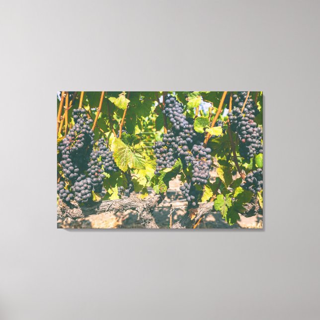 Impressão Em Tela Uvas (Frente)