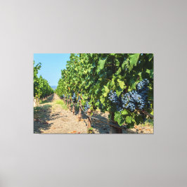 Impressão Em Tela Uvas