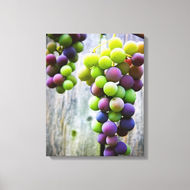 Impressão Em Tela Uvas de maturação (Frente)