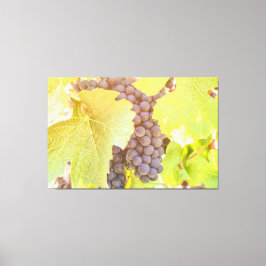 Impressão Em Tela Uvas em Vinha