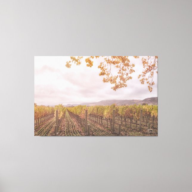 Impressão Em Tela Uvas no outono (Frente)