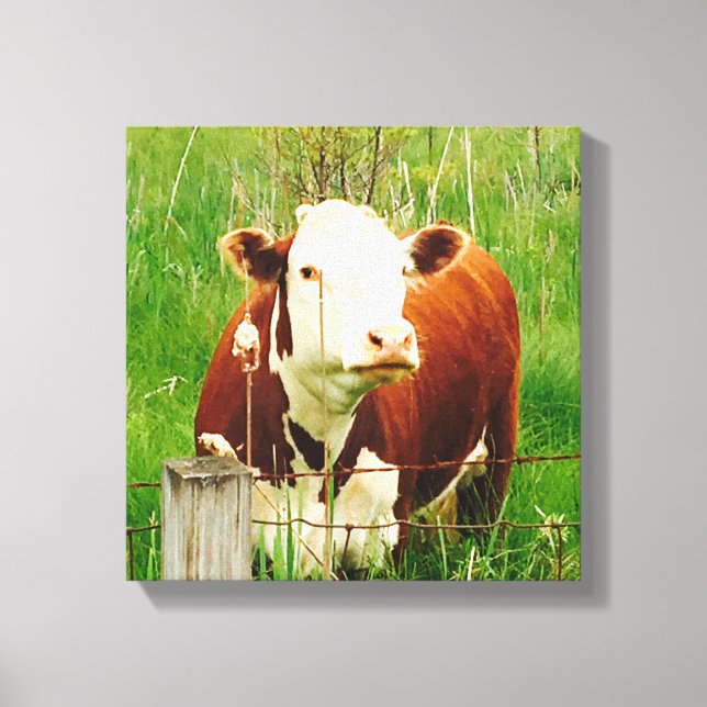 Impressão Em Tela Vaca Curiosa Fofa 4Carrie (Frente)