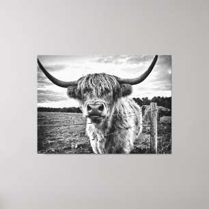 Impressão Em Tela Vaca Highland Negra e Branca