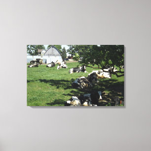 Impressão Em Tela Vacas Descansando na Fazenda em Arte de Tela Enrol