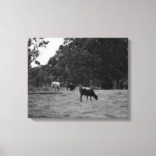 Impressão Em Tela Vacas negras e brancas em uma encosta 16x20