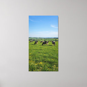 Impressão Em Tela Vacas que pastam na grama verde sob o céu azul cla