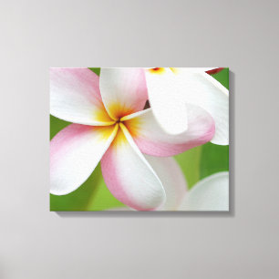 Impressão Em Tela Vazio personalizado flor de Havaí do Frangipani d