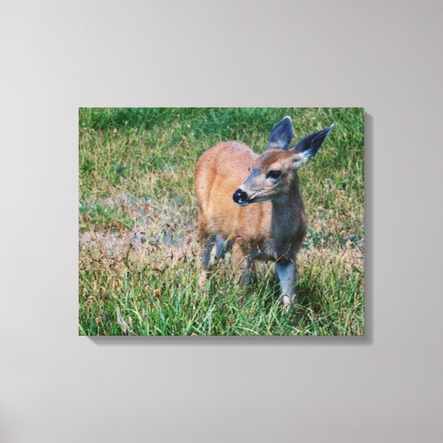 Impressão Em Tela Veado - (Frente)