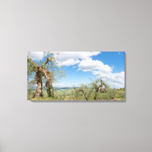 Impressão Em Tela Velhas oliveiras numa paisagem na Toscana