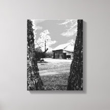 Velho Barn Rural Barns Country Black & White Photo